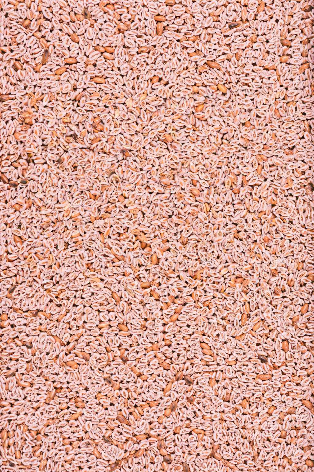 chatgpt image mar 16, 2026, 04 50 03 pm