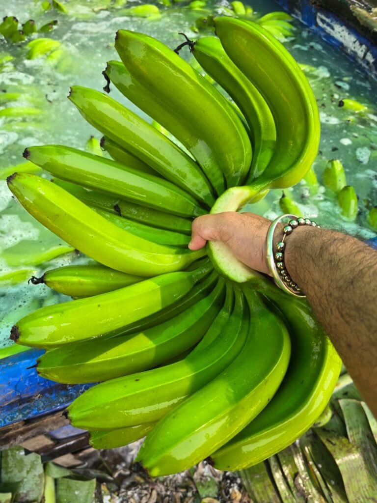 whatsapp image 2026 03 21 at 1.39.03 pm (1)