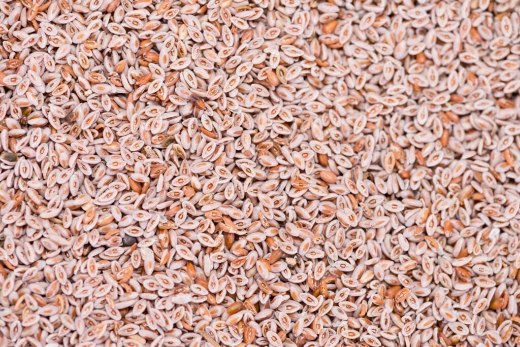 psyllium seeds background scaled